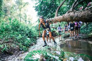 BIB: 
                            <button type="button" onclick="openModal(25447939)" class="btn btn-primary btn-sm float-right btn-popup" data-toggle="modal" data-target=".modal-high-quality">
                        <i class="fas fa-shopping-cart"></i> Add to Cart
                    </button>
                                            <button type="button" onclick="isThisMe(25447939, true)" class="btn btn-success btn-sm float-right btn-popup btn-isme hidden" data-toggle="tooltip" data-placement="bottom" title="นี่คือรูปของคุณใช่ไหม คลิกที่นี่เพื่อเอาเข้าอัลบั้ม">
                        <i class="fas fa-plus"></i> Add to album
                    </button>
                    <button type="button" onclick="isThisMe(25447939, false)" class="btn btn-warning btn-sm float-right btn-popup btn-isnotme hidden">
                        <i class="fas fa-ban"></i> Remove from album
                    </button>